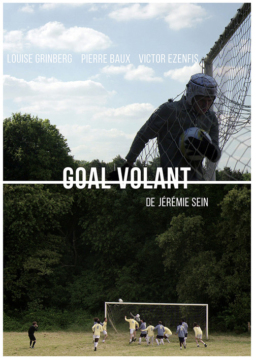 Movie poster for Goal Volant (2016)
