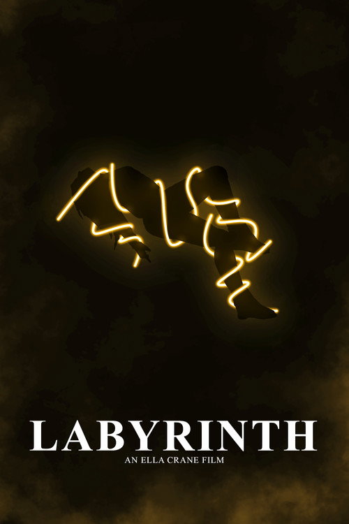 Movie poster for Labyrinth (2024)
