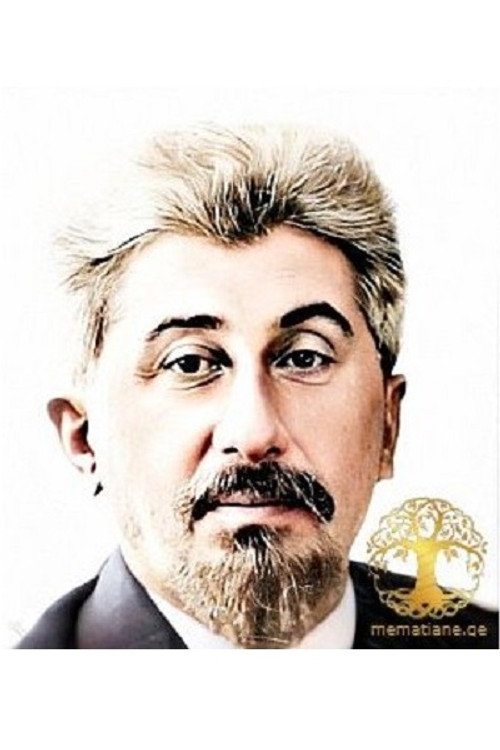 Photo of Vaso Arabidze, Acting