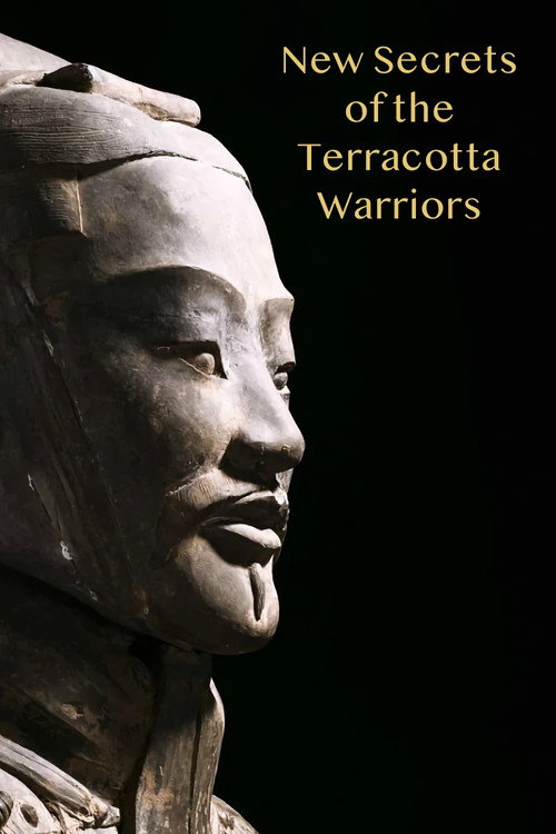 Movie poster for New Secrets of the Terracotta Warriors (2013)