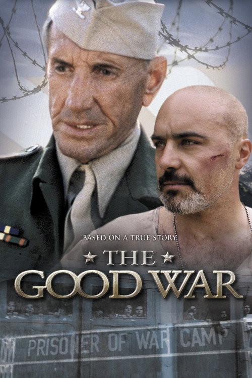 Movie poster for Texas '46 (2002)