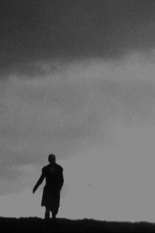 Movie poster for Passage (2008)