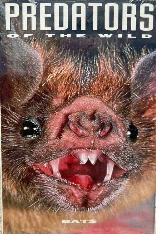 Movie poster for Predators of the Wild: Bats (1991)