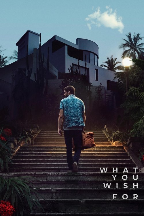 Movie poster for What You Wish For (2024)