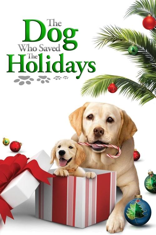 Movie poster for The Dog Who Saved the Holidays (2012)