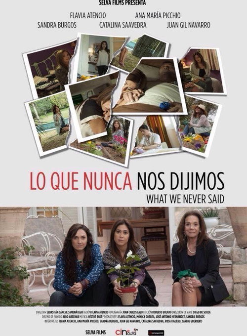 Movie poster for What We Never Said (2015)