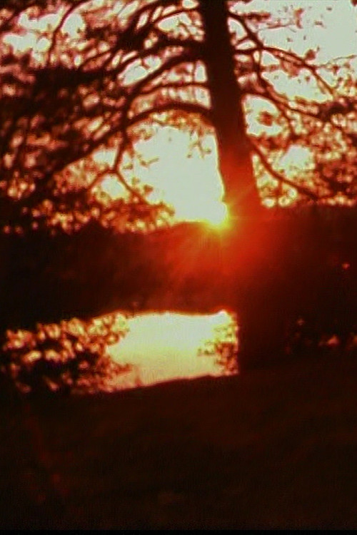 Movie poster for Imaginary Friend (1998)