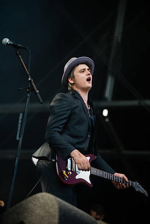Movie poster for Babyshambles: Best Kept Secret Festival (2014)