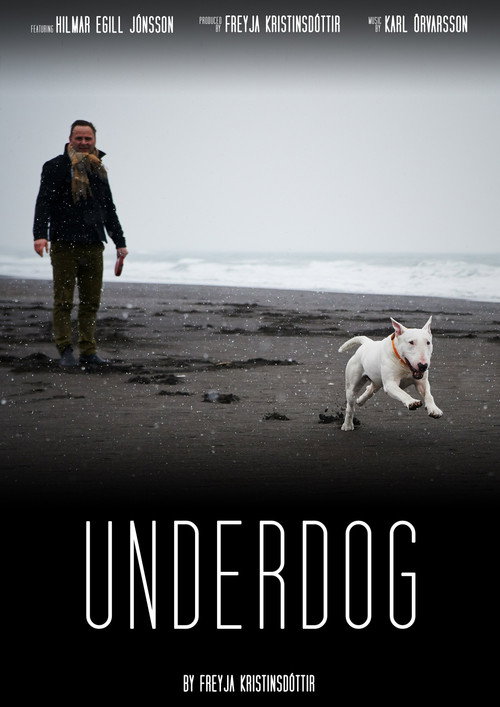 Movie poster for Underdog (2018)
