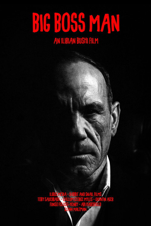 Movie poster for BIG BOSS MAN (2025)