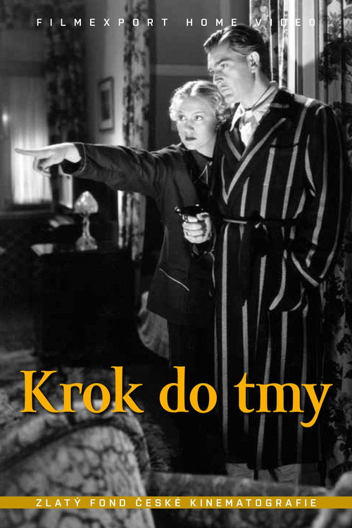 Movie poster for A Step into the Darkness (1938)