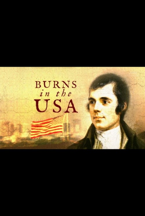 Movie poster for Burns in the USA (2017)
