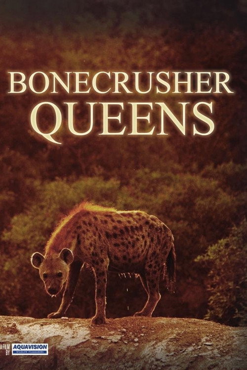 Movie poster for Bonecrusher Queens (2008)
