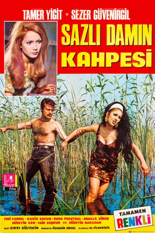 Movie poster for Sazlı Damın Kahpesi (1969)