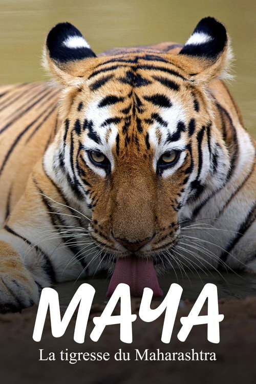 Movie poster for Maya, la tigresse du Maharashtra (2020)