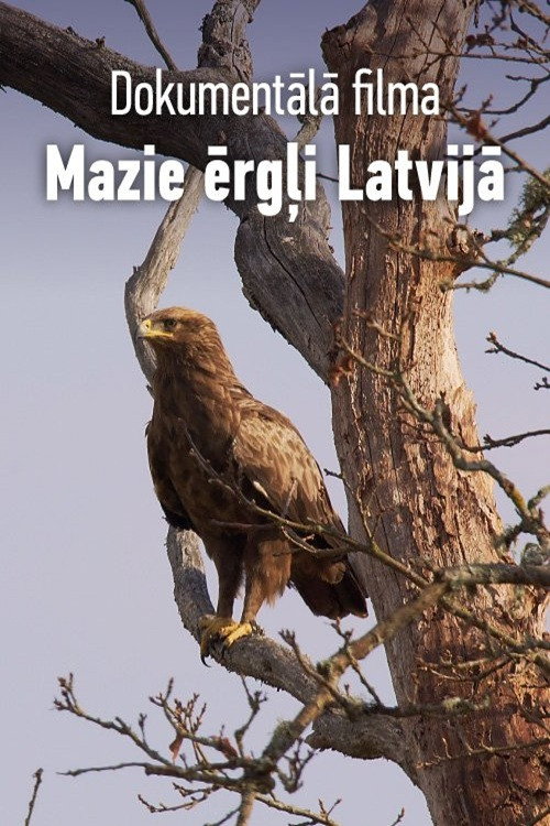 Movie poster for Mazie ērgļi Latvijā (2021)