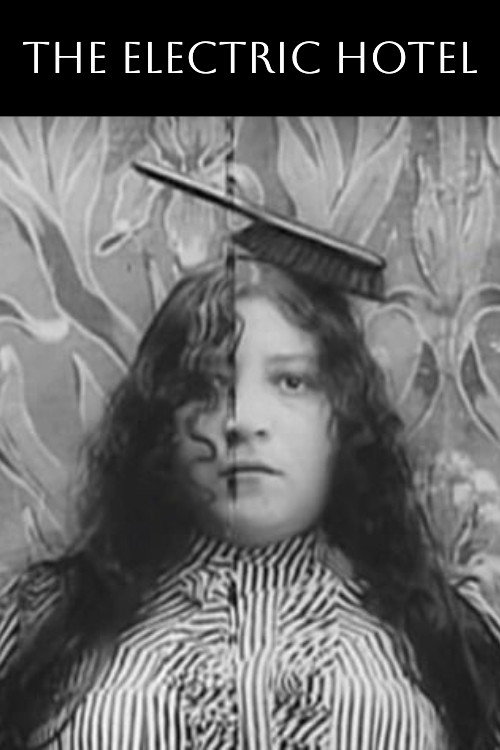 Movie poster for The Electric Hotel (1908)