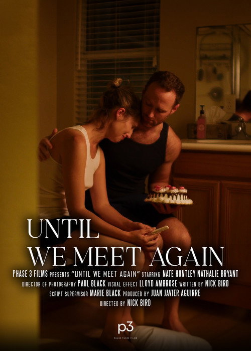 Movie poster for Until We Meet Again (2024)