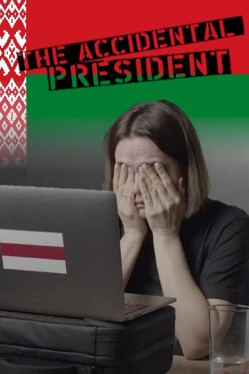 Movie poster for The Accidental President (2024)
