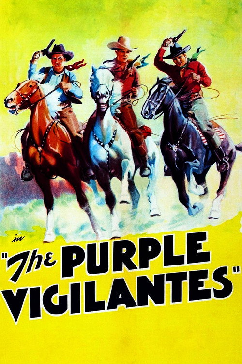Movie poster for The Purple Vigilantes (1938)