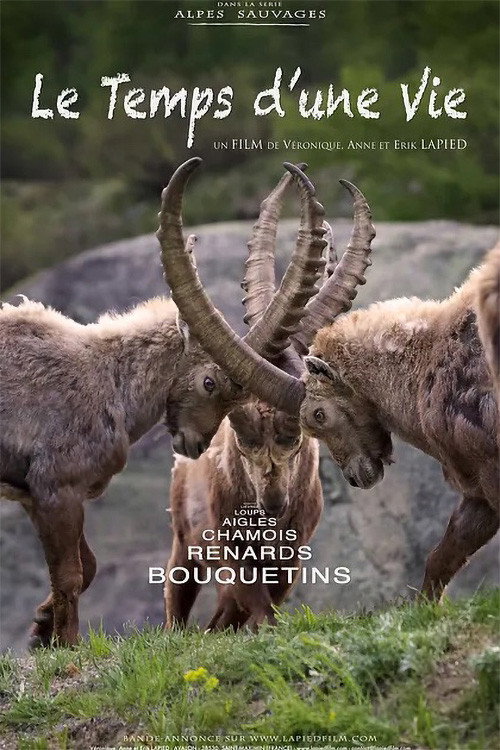 Movie poster for The Time of a Life (2020)