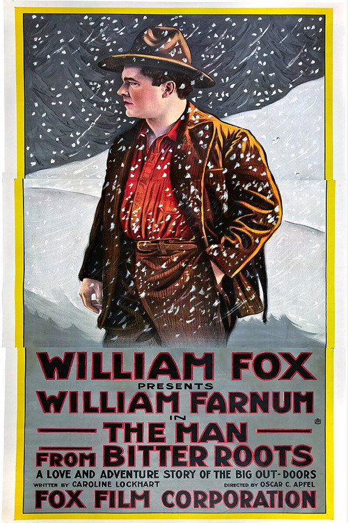 Movie poster for The Man from Bitter Roots (1916)