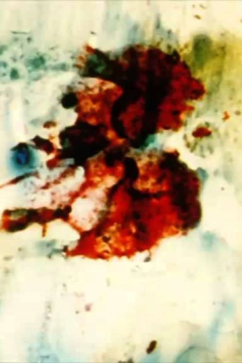 Movie poster for SB (2002)