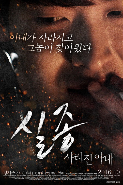 Movie poster for Disappearance: Missing Wife (2016)