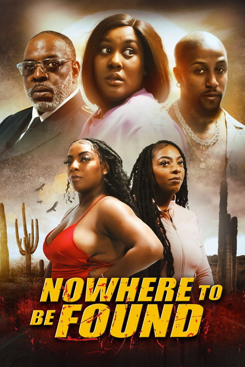 Movie poster for Nowhere to Be Found (2025)