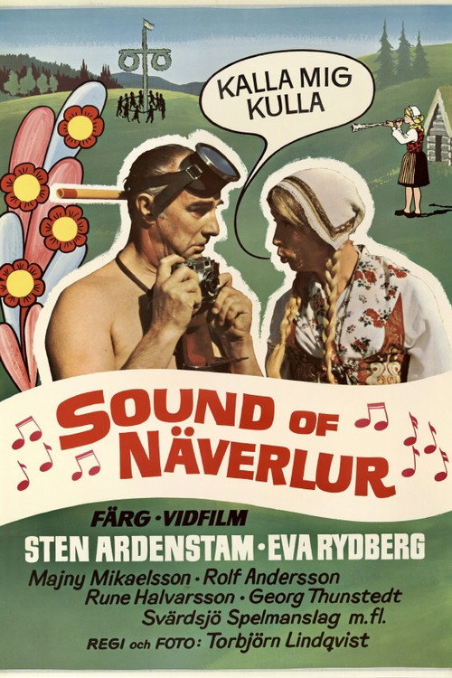 Movie poster for The Sound of Näverlur (1971)