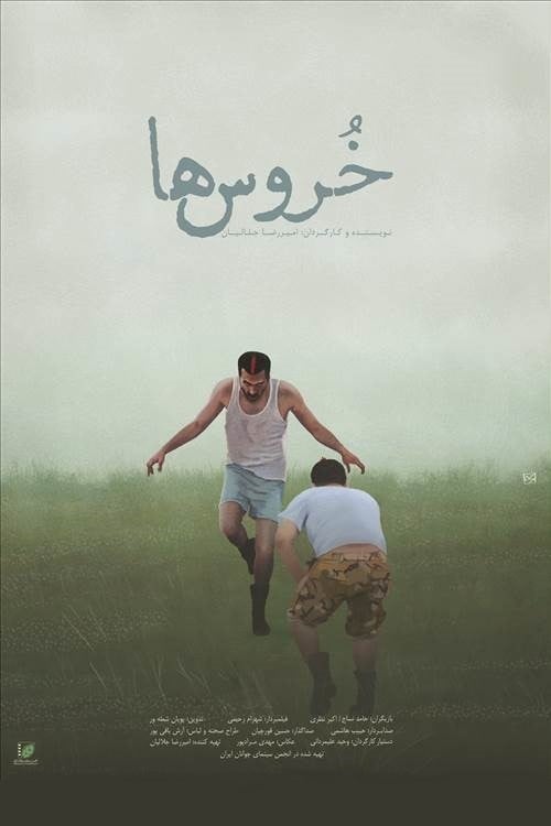 Movie poster for Cocks