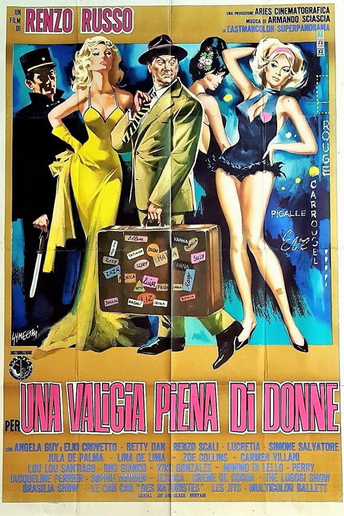 Movie poster for Per una valigia piena di donne (1964)