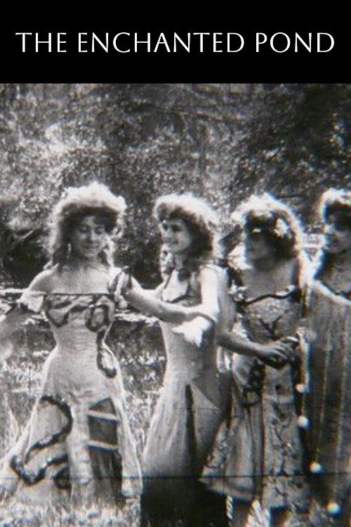 Movie poster for The Enchanted Pond (1907)
