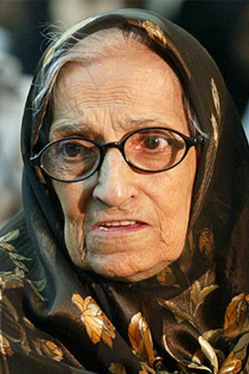 Photo of Mehri Mehrinia, Acting