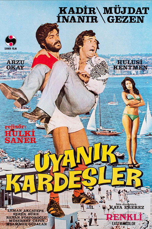 Movie poster for The Cunning Brothers (1974)