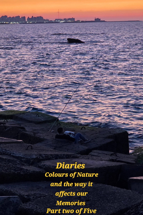 Movie poster for Diaries: Colours of Nature and the Way It Affects Our Memories. (2026)