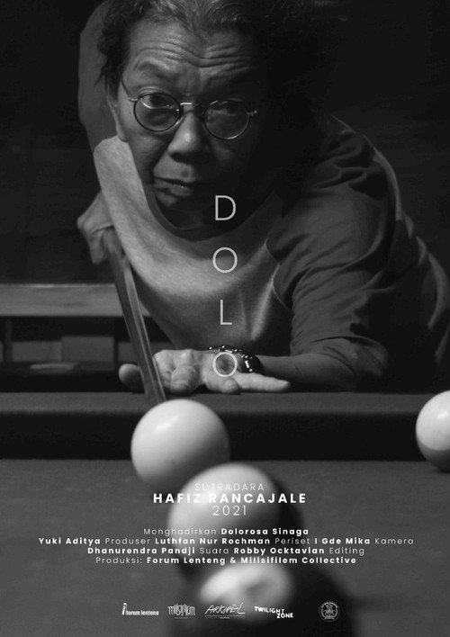 Movie poster for DOLO (2021)
