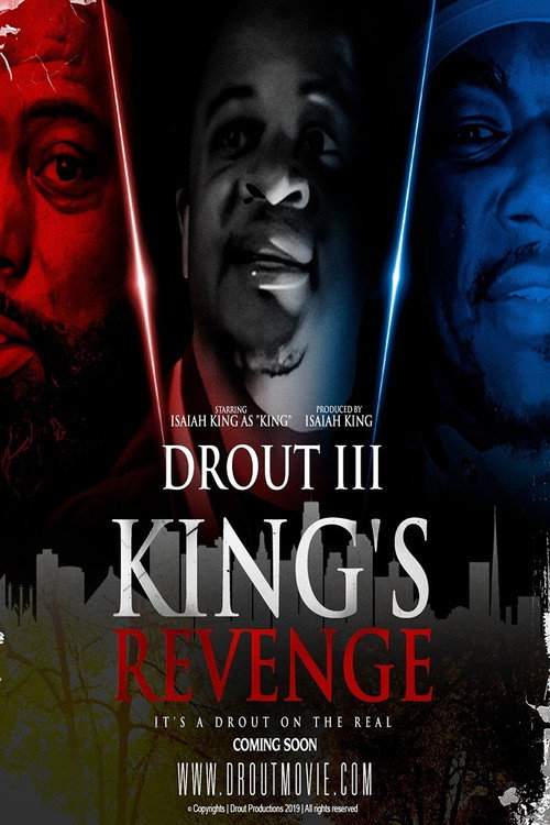 Movie poster for Drout 3: King's Revenge