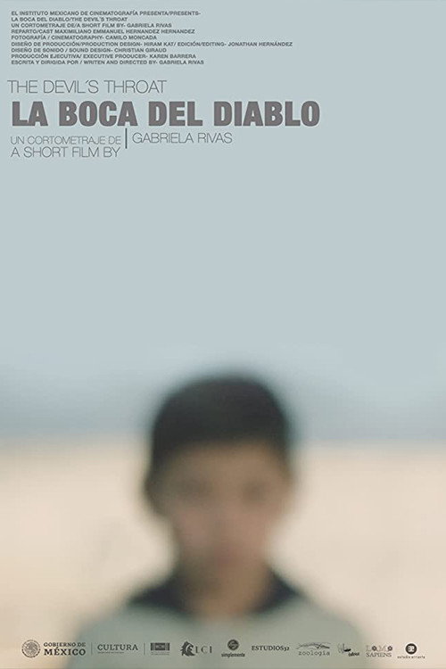Movie poster for La Boca Del Diablo (2020)