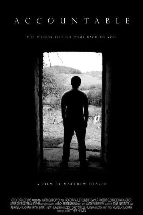 Movie poster for Accountable (2017)
