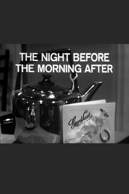 Movie poster for The Night Before The Morning After (1966)