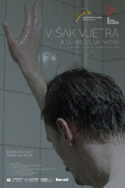 Movie poster for A Surplus of Wind (2014)