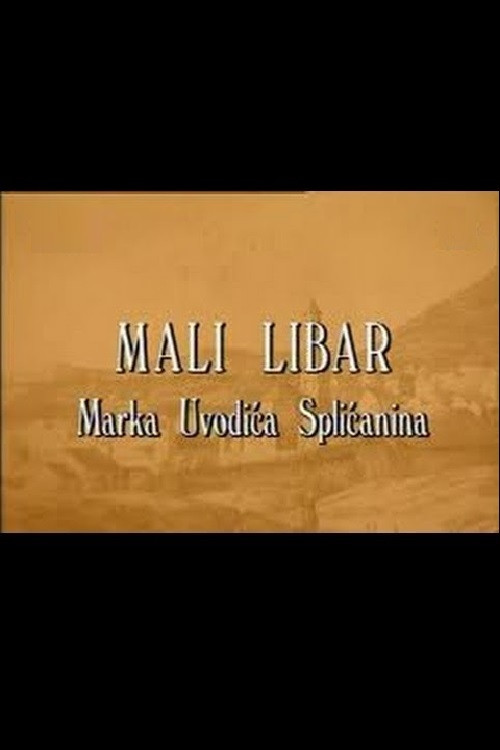 Movie poster for A Little Inscription of Marko Uvodic from Split (1997)