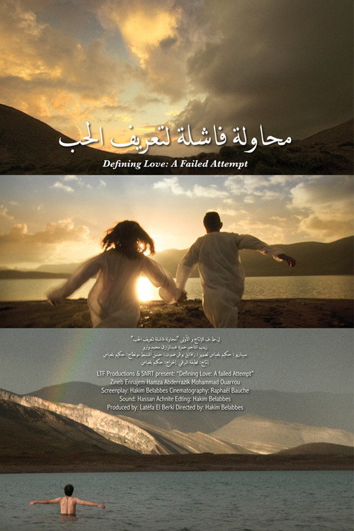 Movie poster for Defining Love: A Failed Attempt (2012)