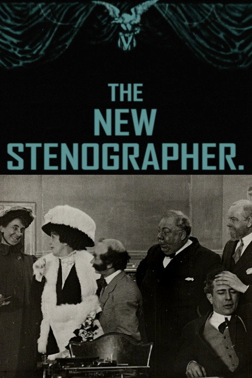 Movie poster for The New Stenographer (1911)