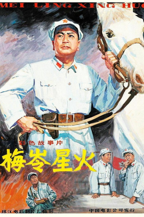 Movie poster for 梅岭星火 (1982)