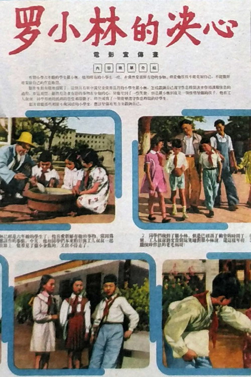 Movie poster for 罗小林的决心 (1955)