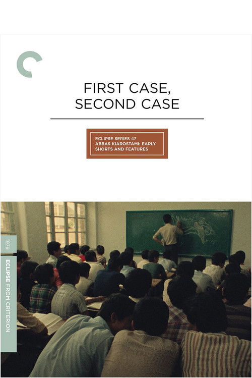 Movie poster for First Case, Second Case (1979)