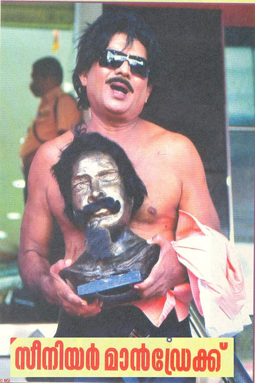 Movie poster for Senior Mandrake (2010)