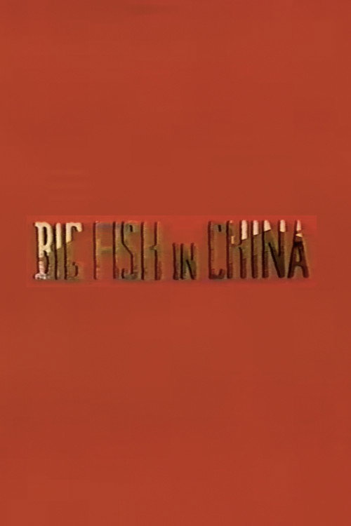 Movie poster for Big Fish in China (1994)
